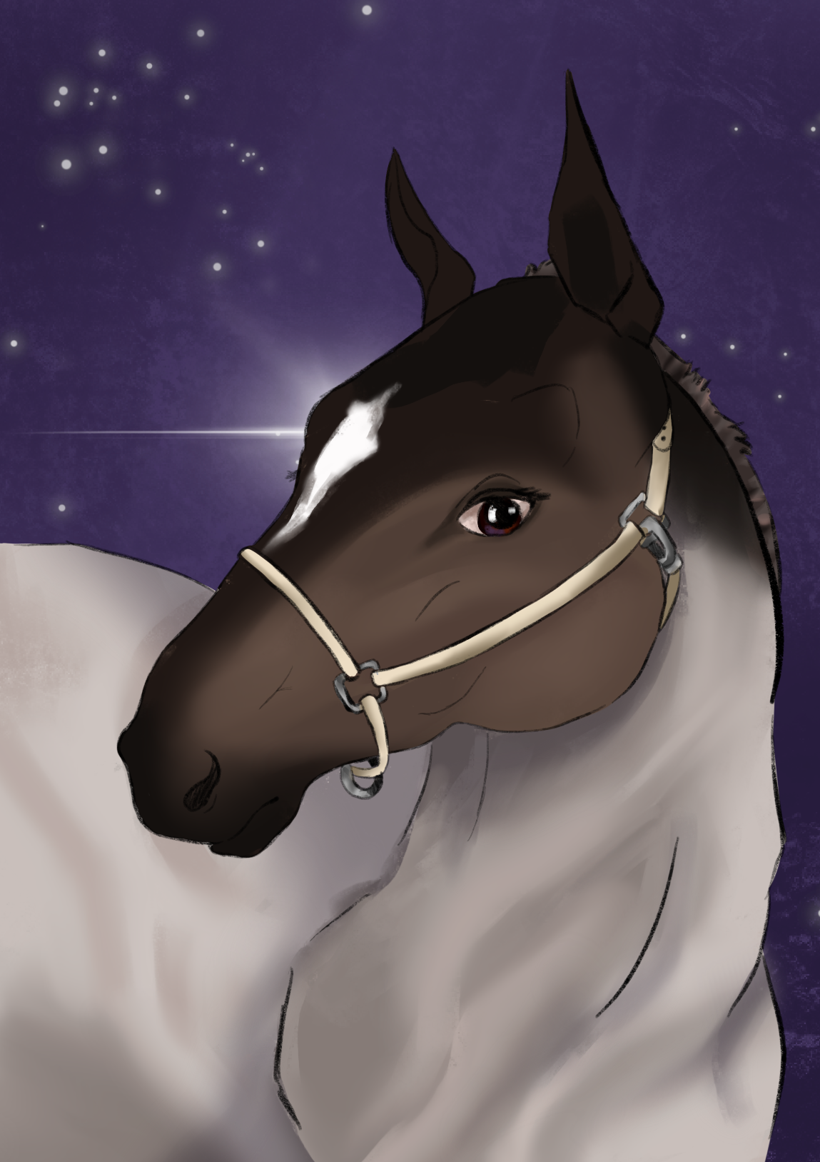 Digital portrait of a grey horse with a brown head and white mark on forehead.