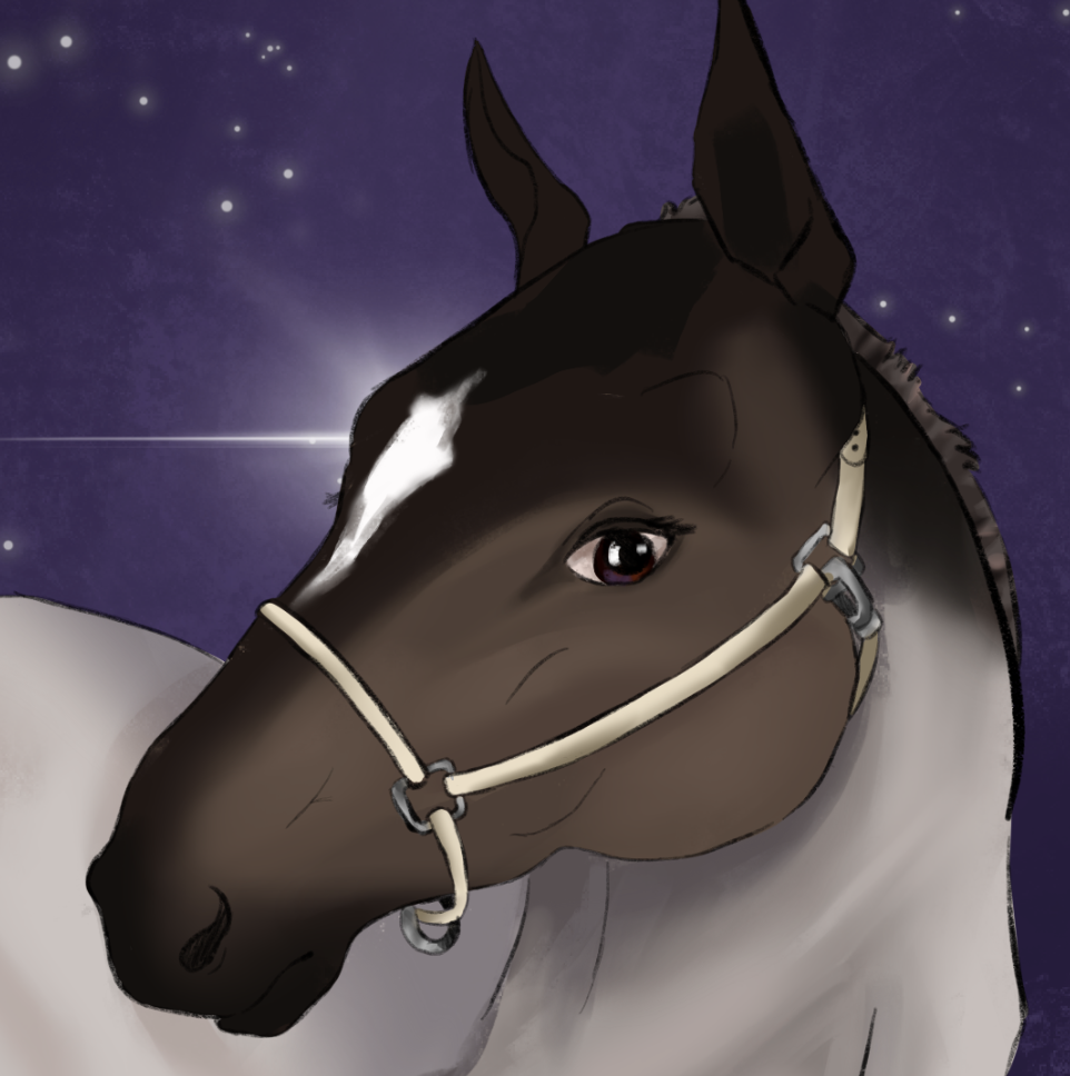 Brown and grey horse