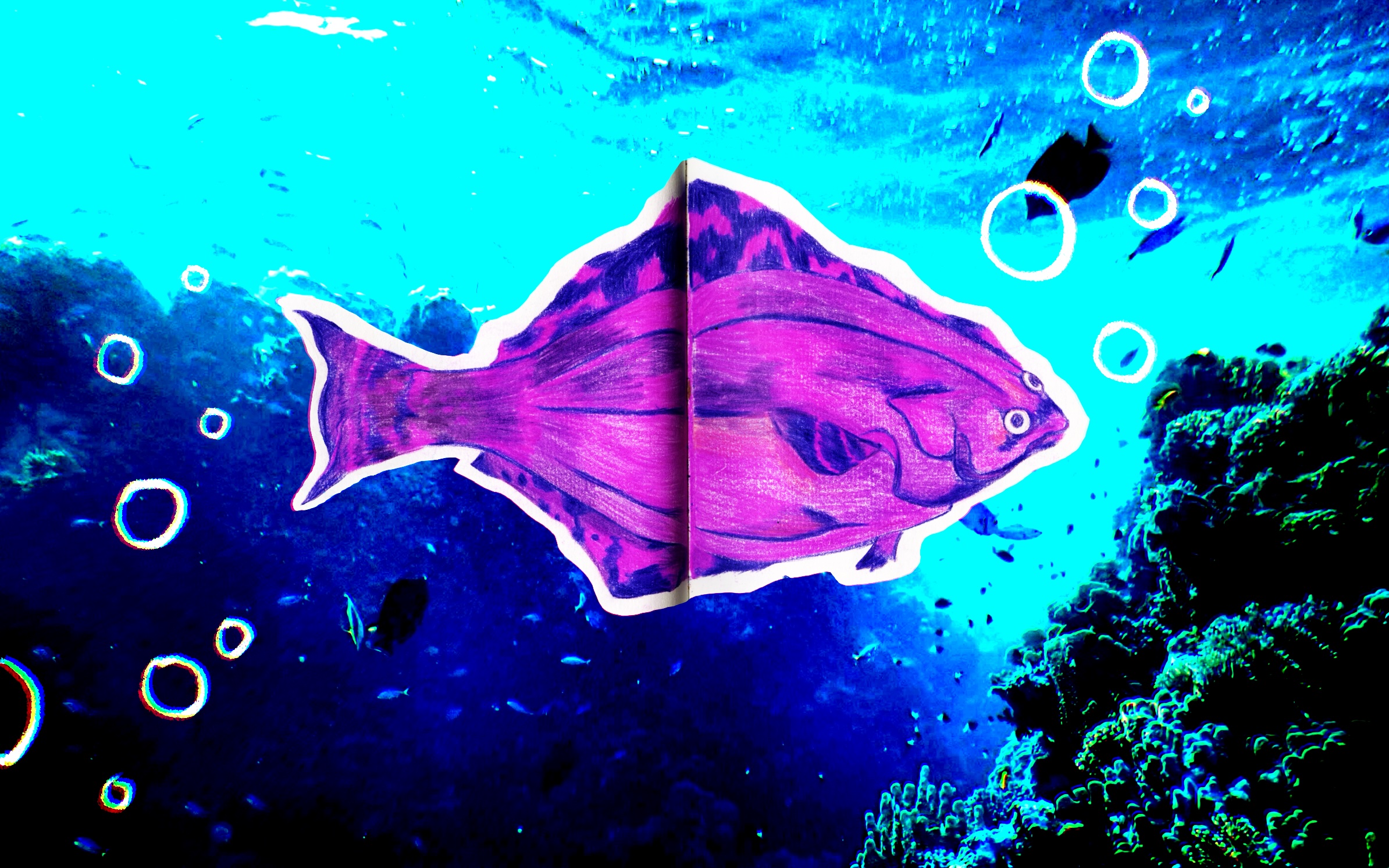 drawing of pink fish