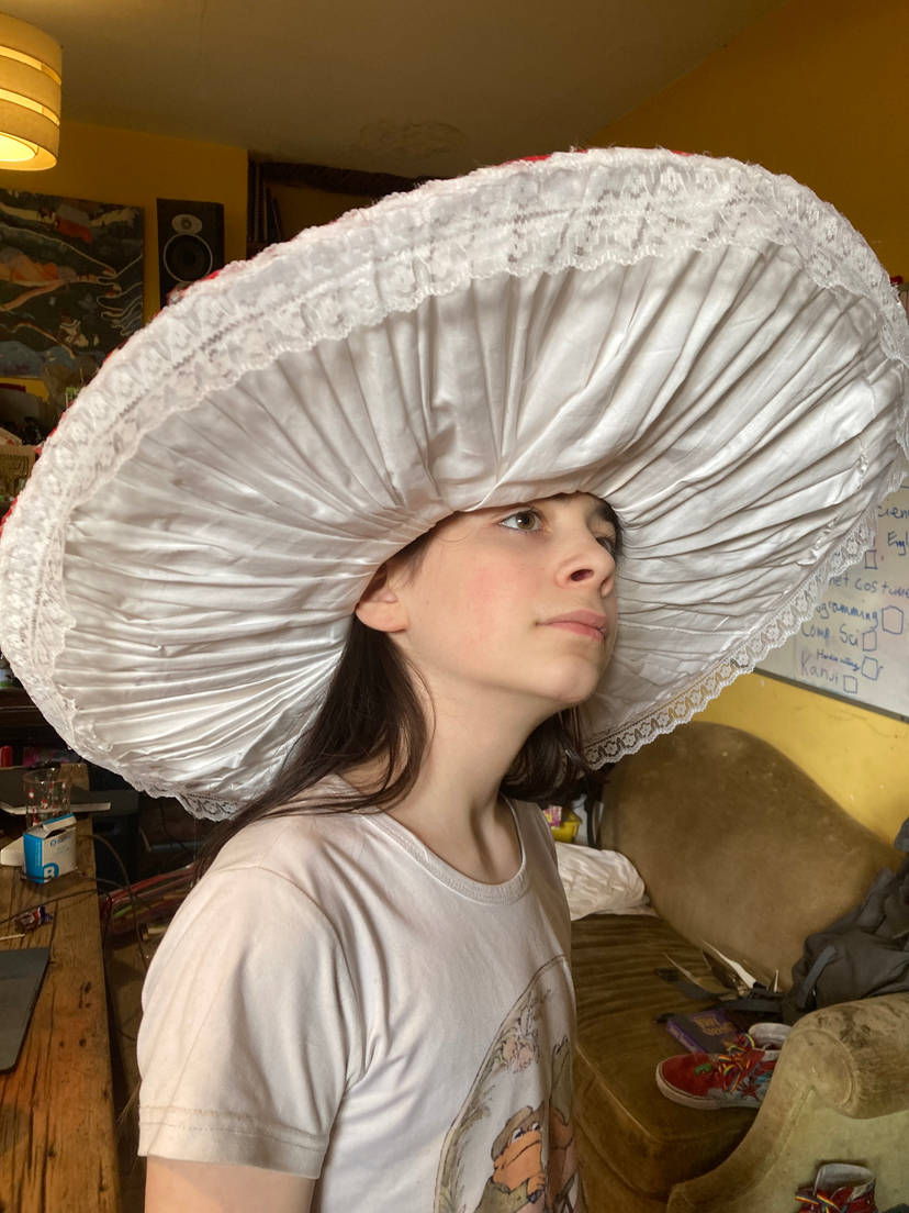 Mushroom hat underneath, showing gills.