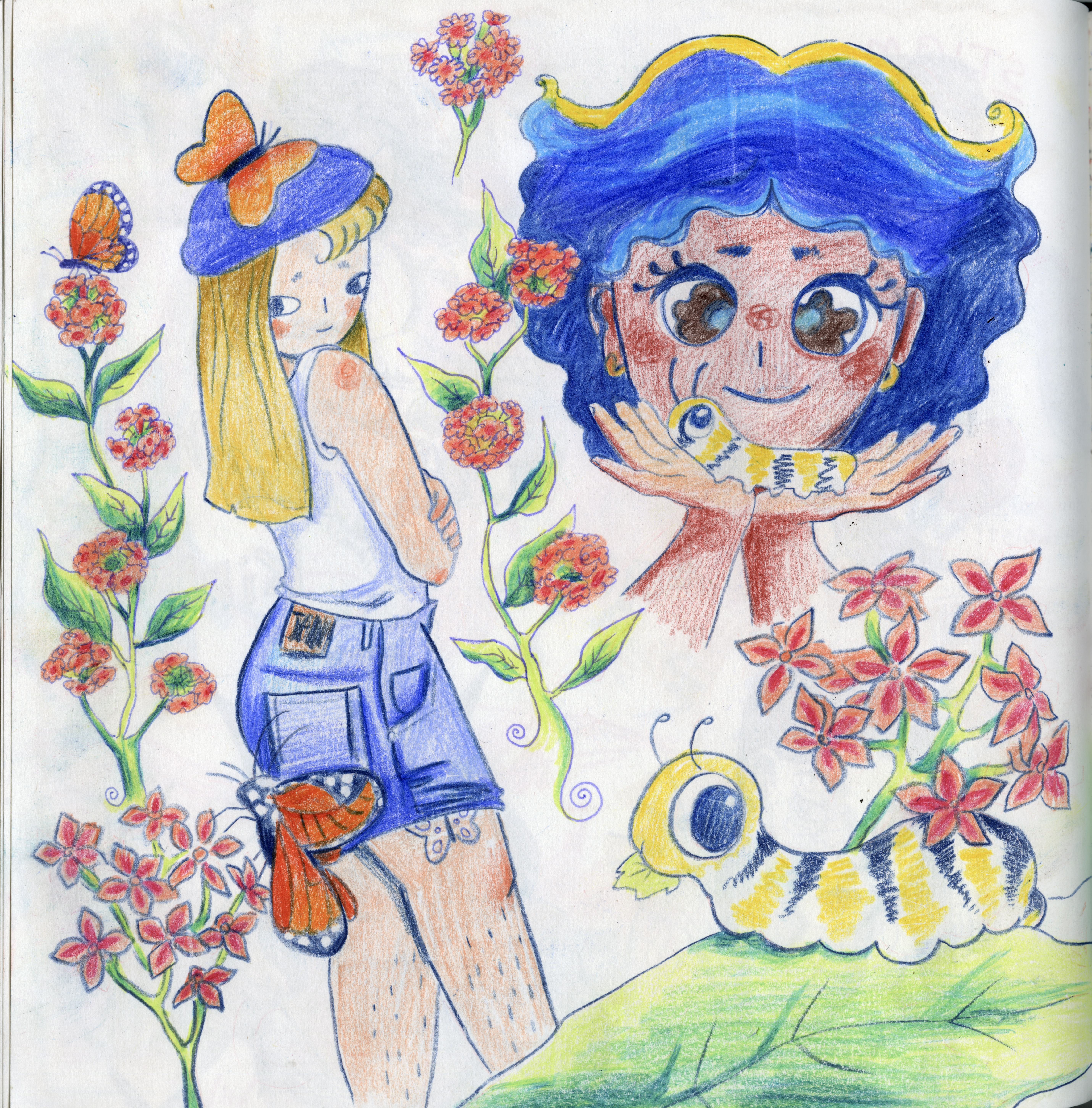 Drawings of butterflies, milkweed and cute girls.