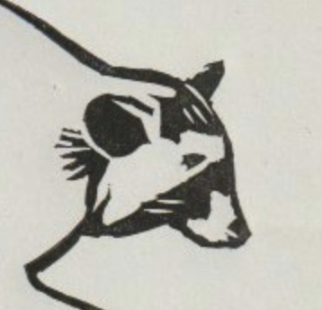 Lino print of raccoon