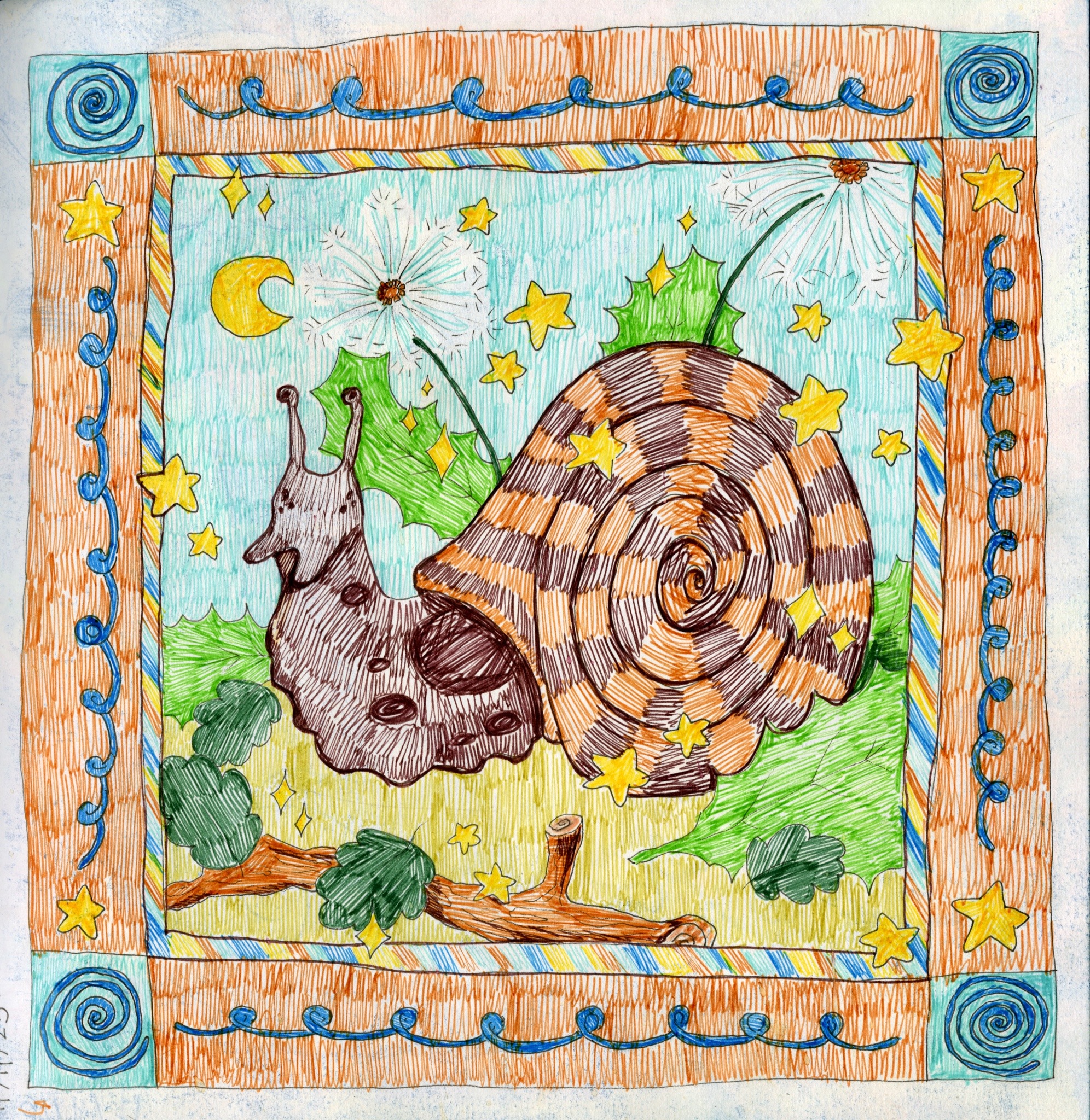 Drawing of a stripy brown snail.