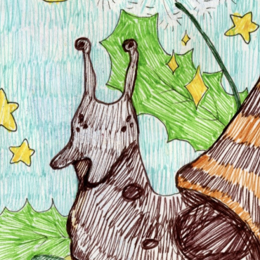 Snail drawing