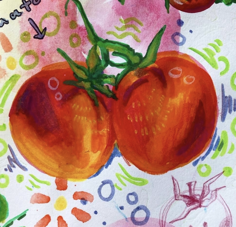 Tomato drawing